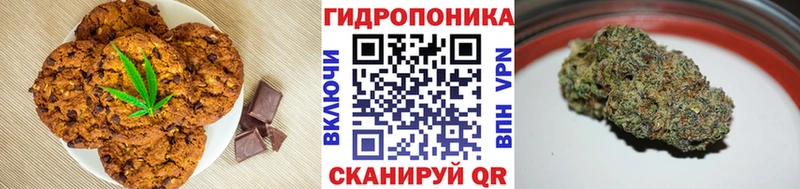Купить закладки  Домодедово  Cannafood марихуана 
