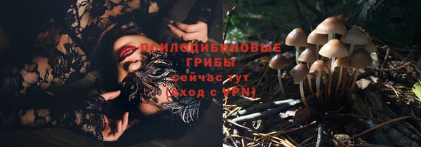 прущий лед Нягань